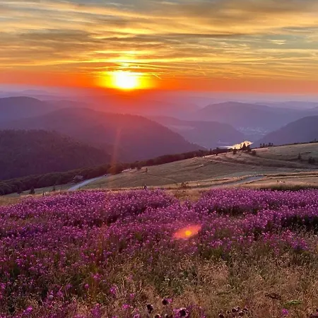 Apartmán Le Nichoir *