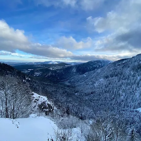 Le Nichoir