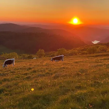 Le Nichoir Διαμέρισμα