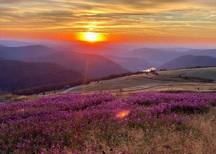 Apartament Le Nichoir *