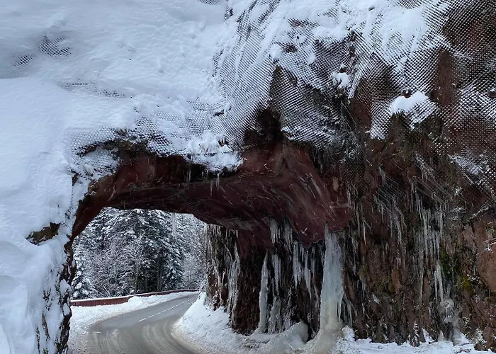 Le Nichoir Apartament